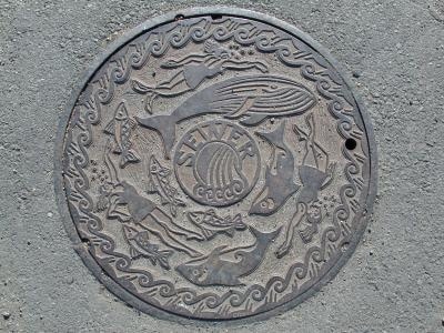 Washington_Seattle_gasworks_park_manhole_cover