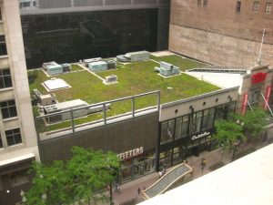 green_roof_stormwater
