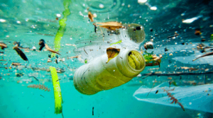 urban water pollution shows plastic and other matter in ocean