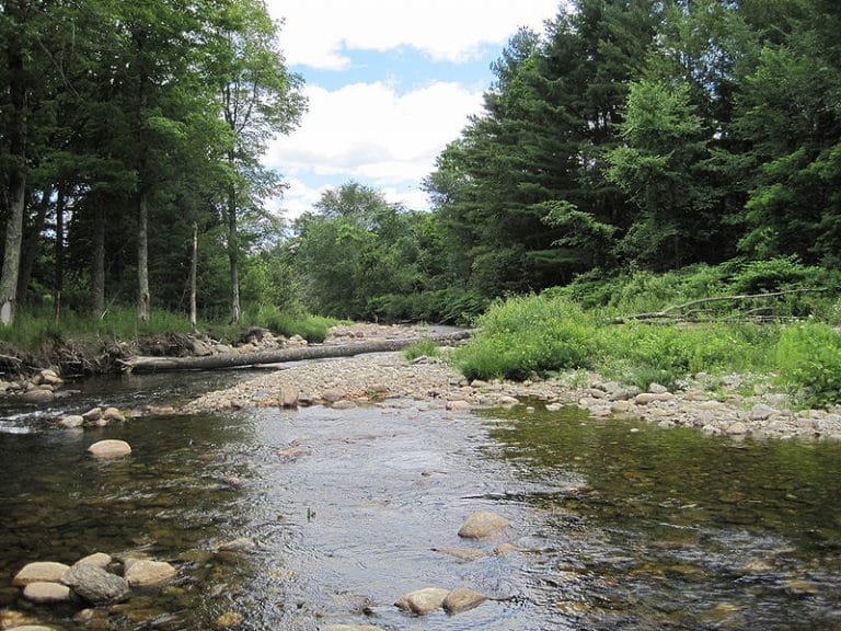Saxtons River, VT Considers UV Light Treatment for Wastewater Tata