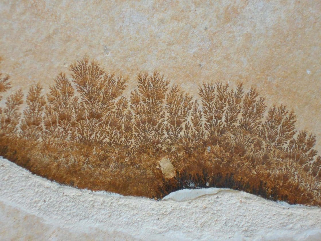 The Importance of Treating Manganese in Drinking Water Tata & Howard