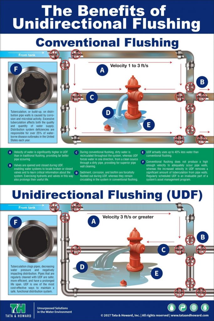 UDF-infographic
