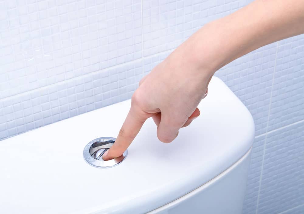 An Indispensable Guide to Flushing Tata & Howard