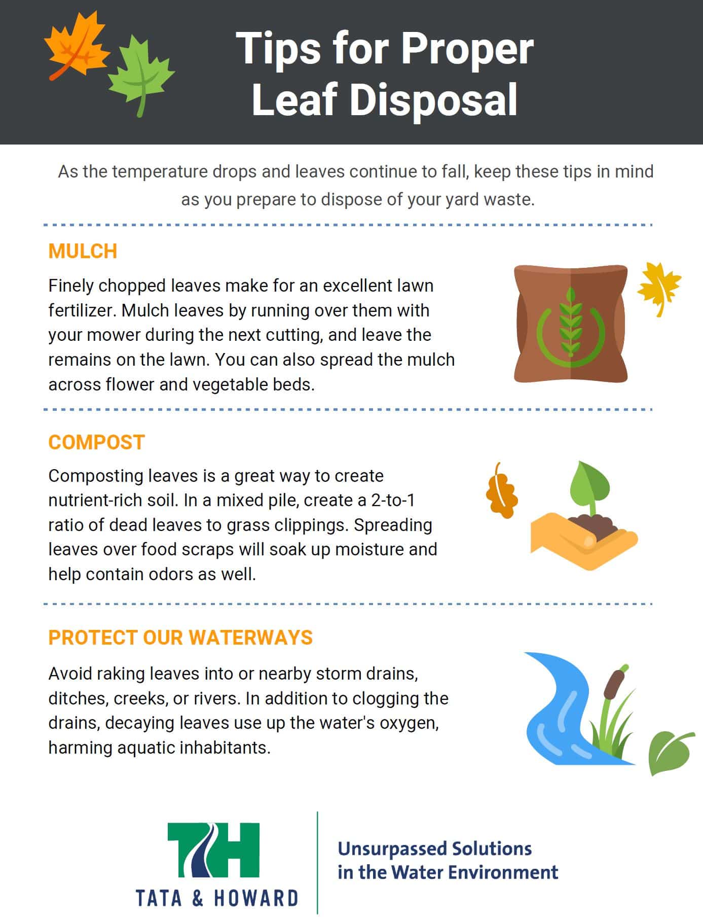 Tips for Proper Leaf Disposal This Fall Tata & Howard