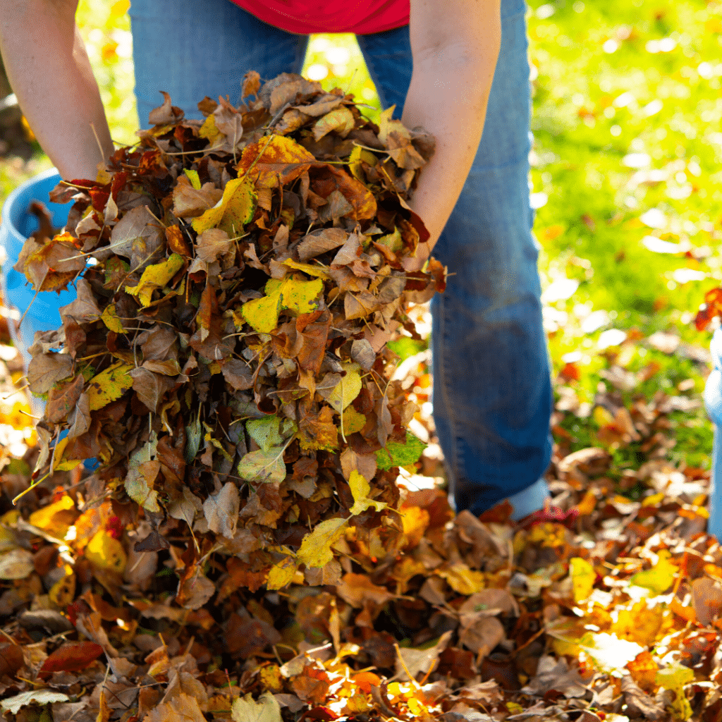 Tips For Proper Leaf Disposal This Fall Tata And Howard